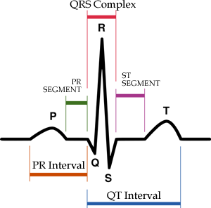 ecg beat